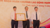 Tây Ninh: Công bố thị xã Hòa Thành hoàn thành nhiệm vụ xây dựng nông thôn mới