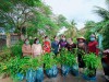 Hội Liên hiệp Phụ nữ xã Trường Hòa ra quân trồng hoa hường ứng ngày môi trường thế giới