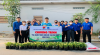 Đoàn phường Long Thành Trung phối hợp cùng Đoàn trường THPT Nguyễn Trung Trực tổ chức ra quân thực hiện “Đô thị văn minh”.